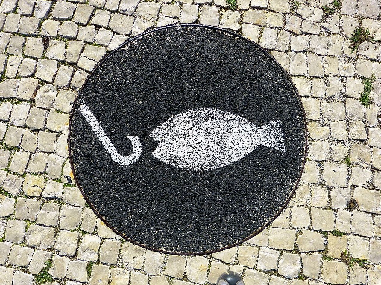 Churrasqueira a Carvão
